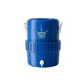Toronto Maple Leaf's