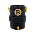 Boston Bruins