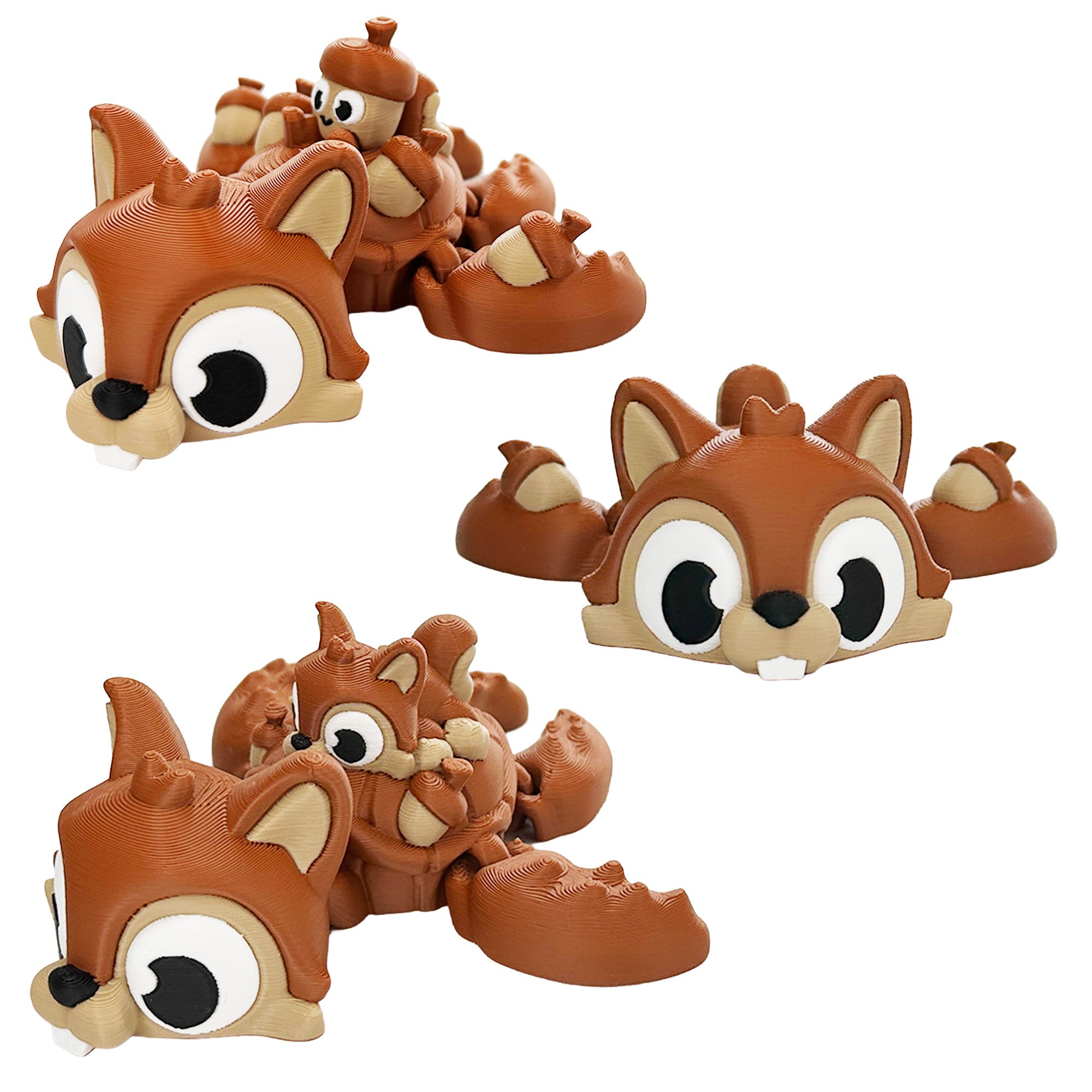 Squirrel Turtle